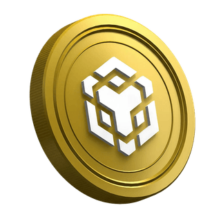 Moneta kryptowalutowa Binance BNB zaprezentowana w poradniku dla początkujących traderów
